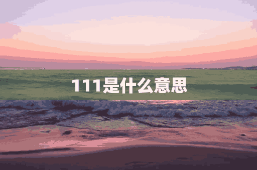 111是什么意思